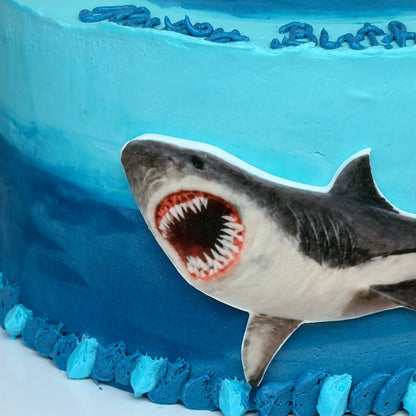 Shark Birthday Cake